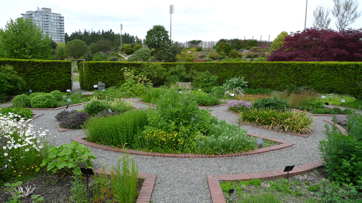 Ubc Botanical Gardens Vancouver Attractions